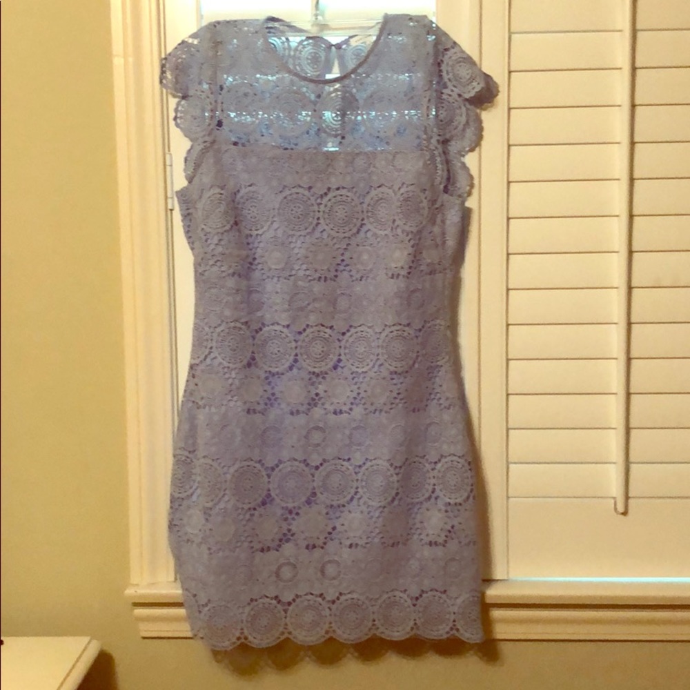 Endless rose lace mini dress